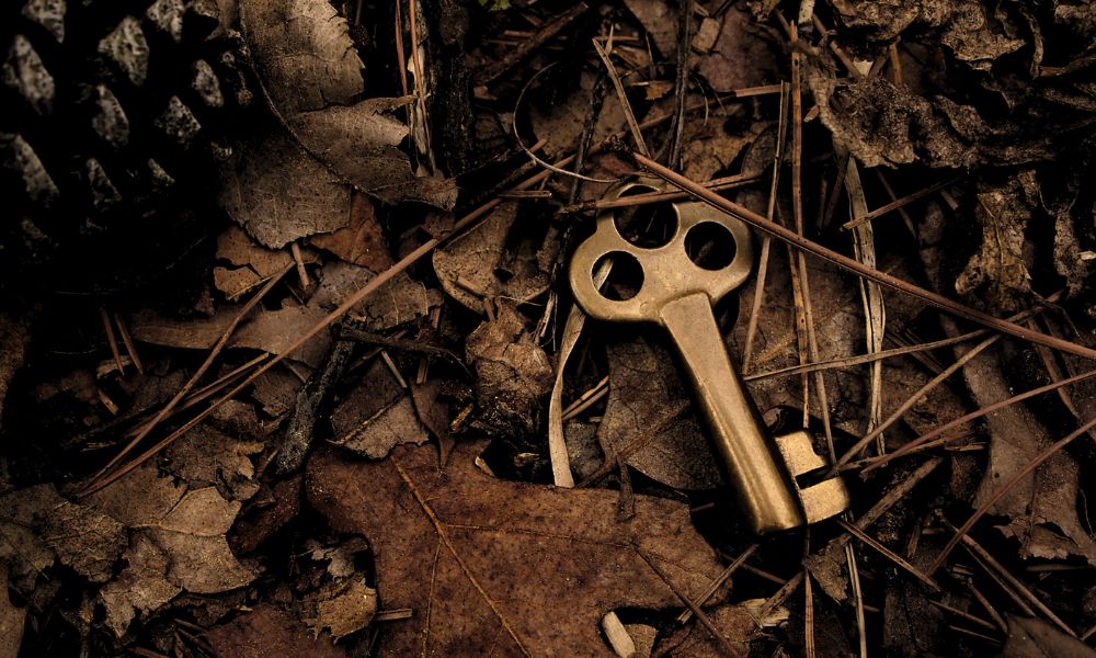 4 Different types of Gun Safe Locks that have Keys
